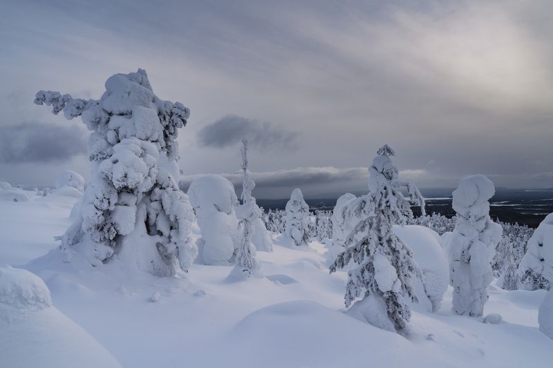 Верной дорогой идём, товарищи.. фото превью