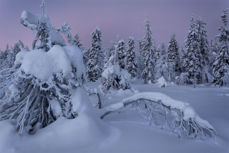 природа, пейзаж, север, кольский, природа россии, дикая природа, закат, свет, облака, вечер, зима * фото превью