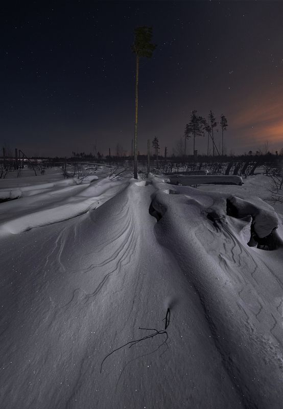 зима, мороз, ночь, сугроб, дерево Зимний бурелом фото превью