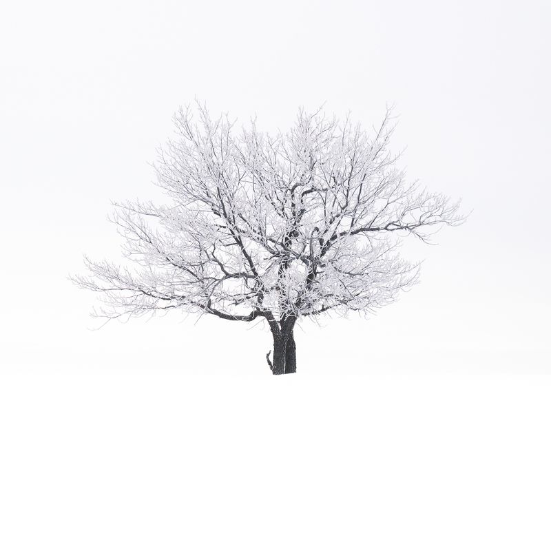 Двое фото превью