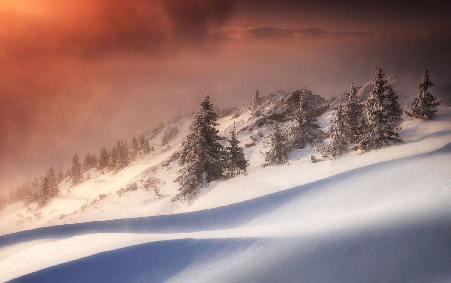 , Татьяна Бирюкова