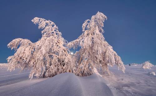 ФОТОГРАФ. На Главном Уральском...