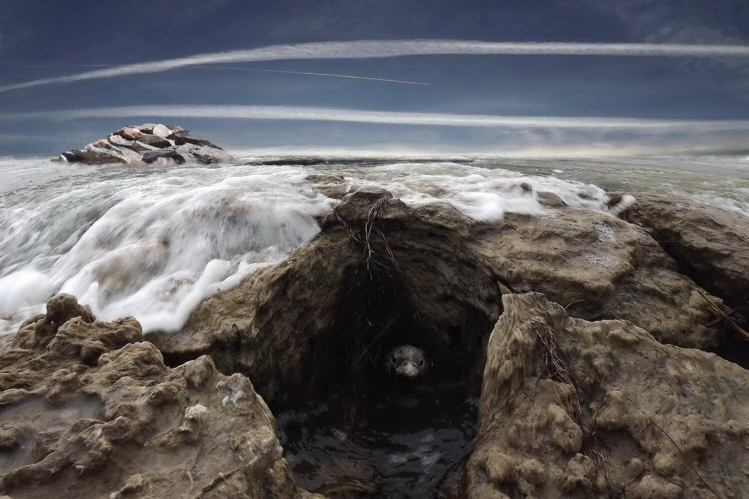 одесса, Сергей Кошелев