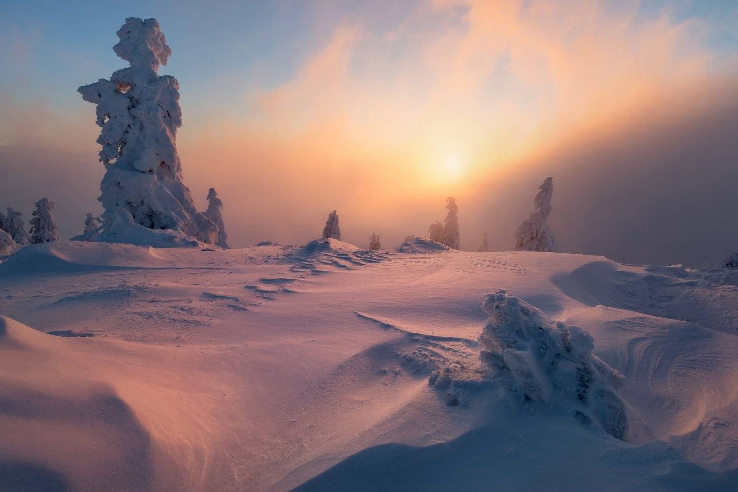 landscape, tree, sunrise, panorama, fog, Petr Fiala