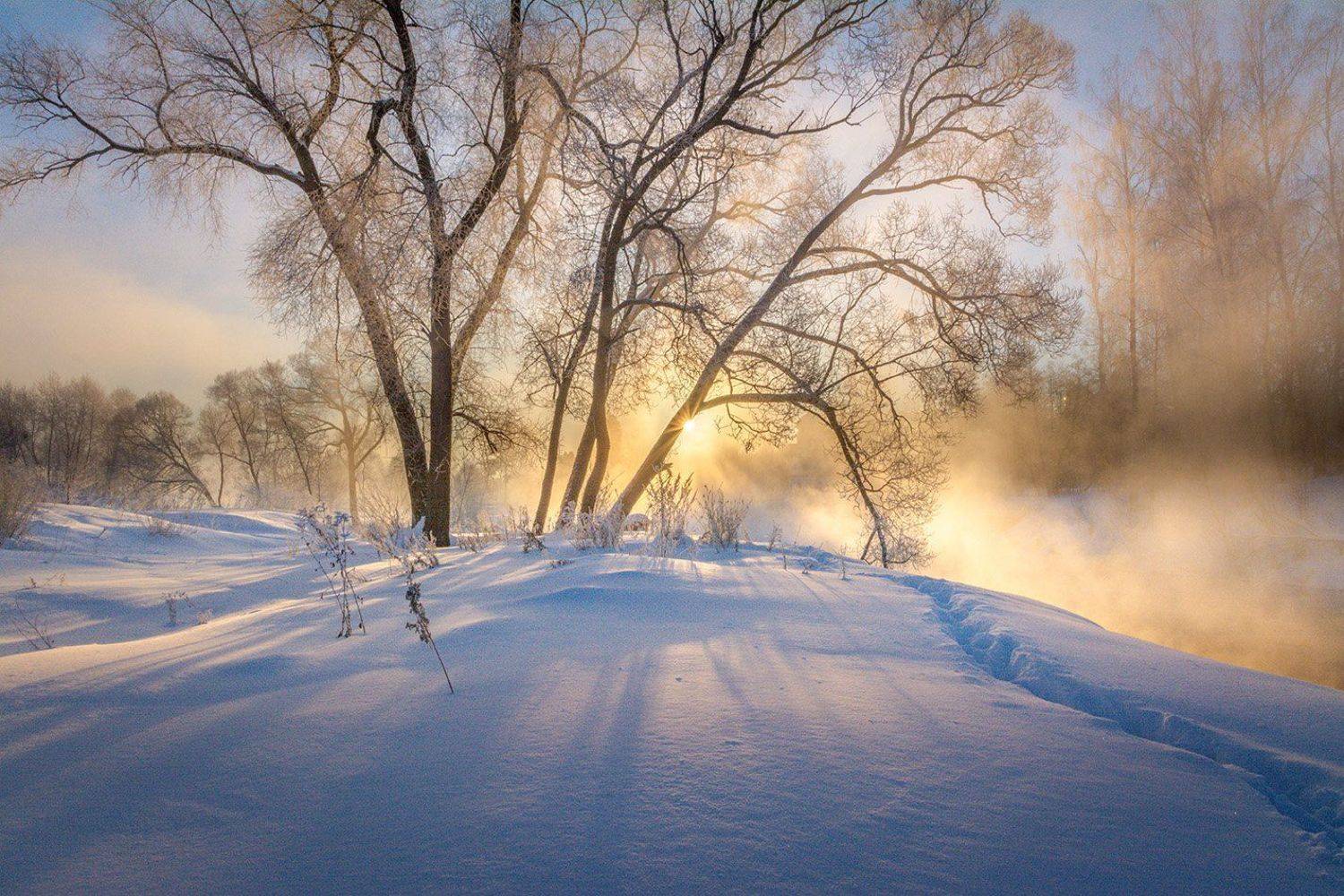 , Анатолий Зверев