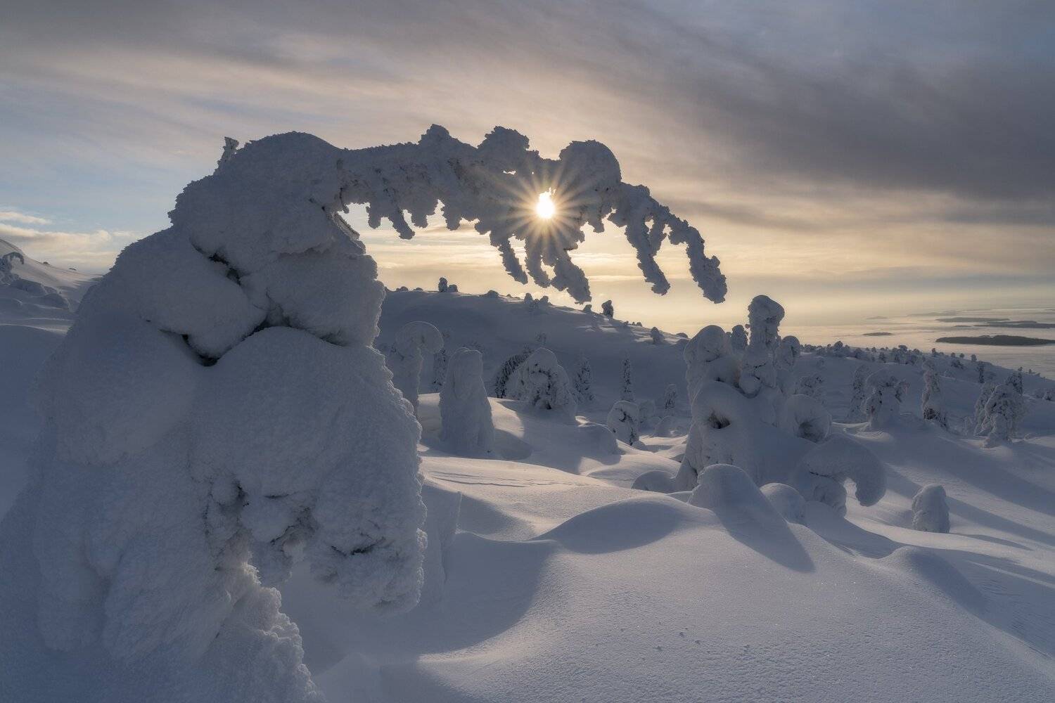 , Юлия Шумляева