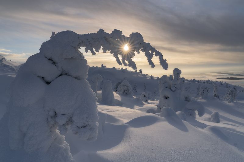 Торшер для солнышка фото превью