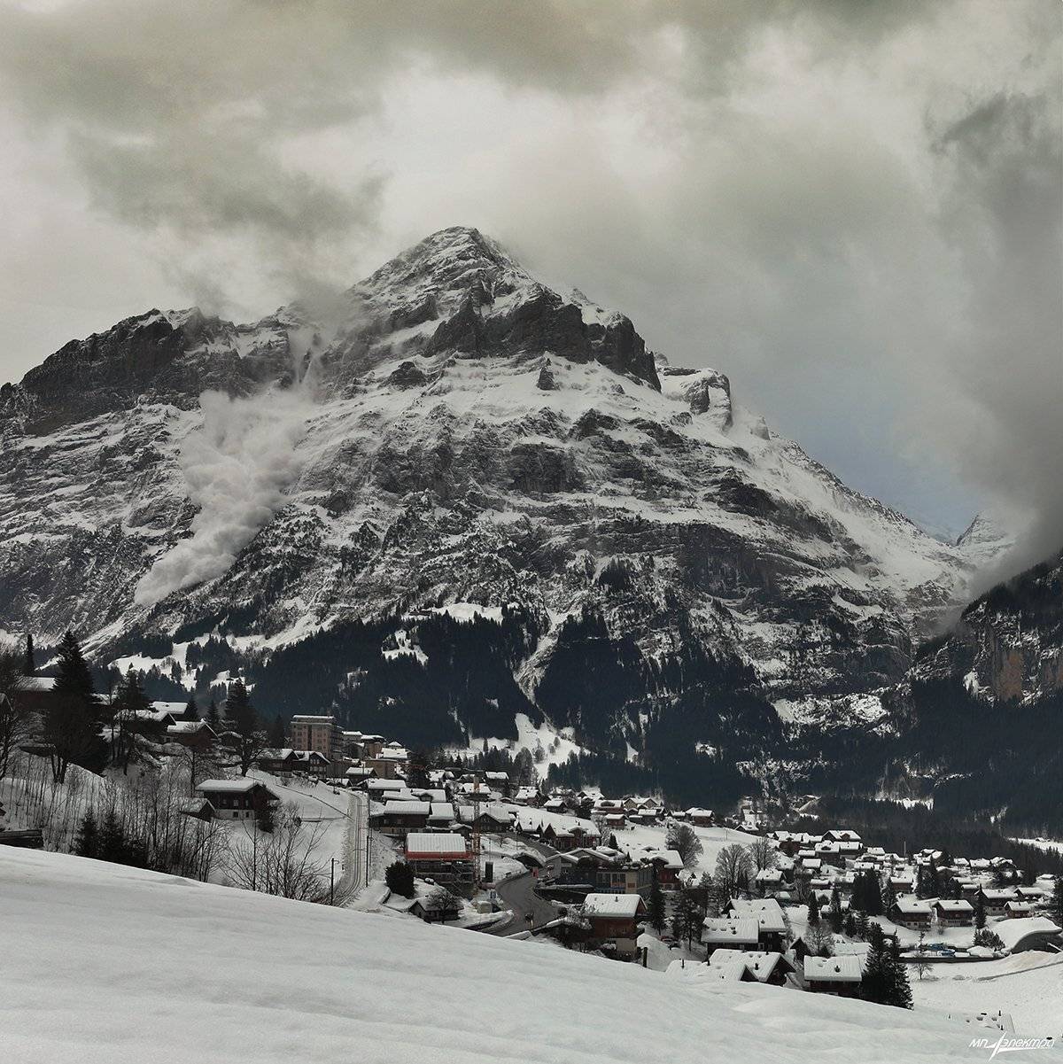 swiss, Матвеев Николай