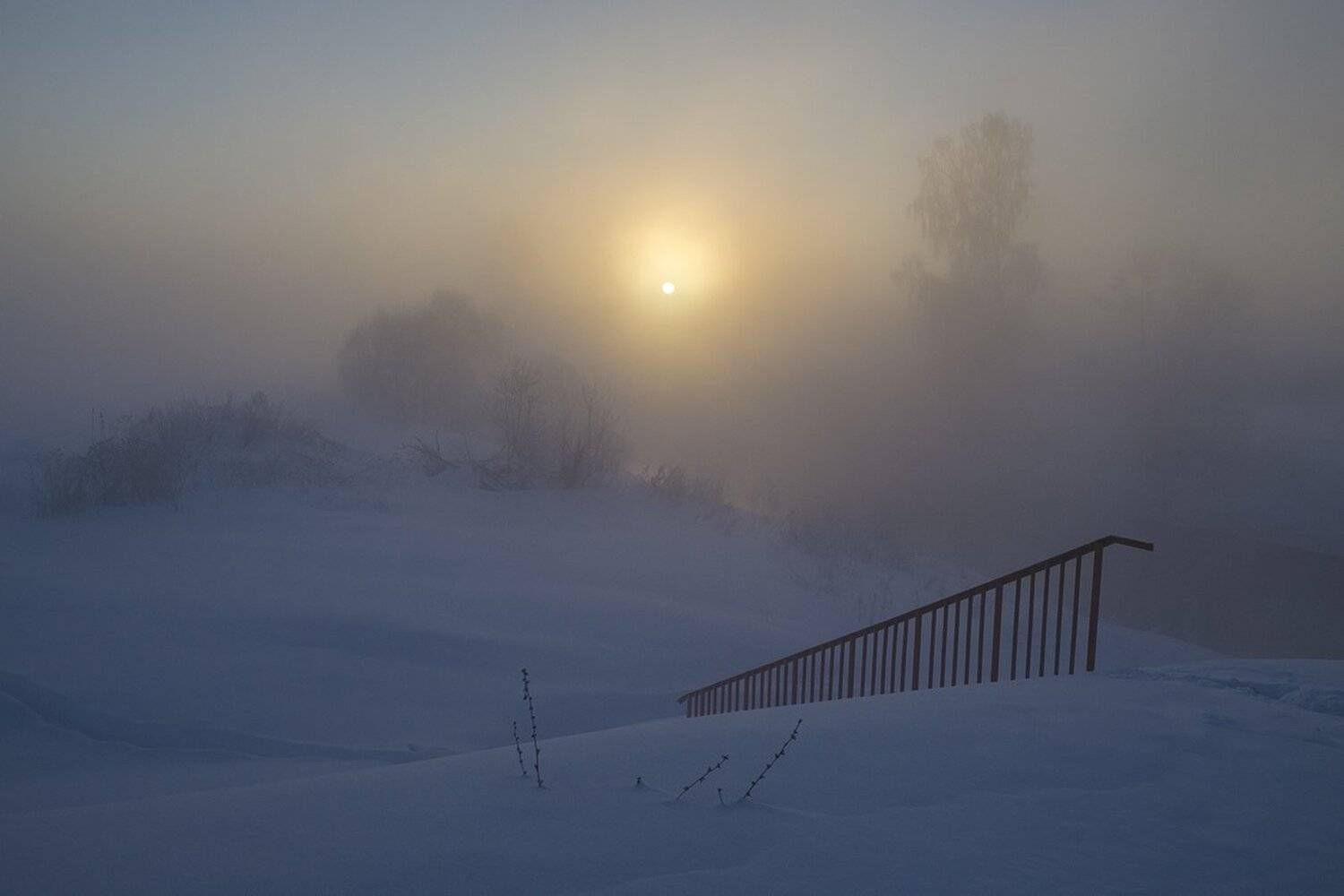 утро, рассвет, зима, истра, Михаил Агеев