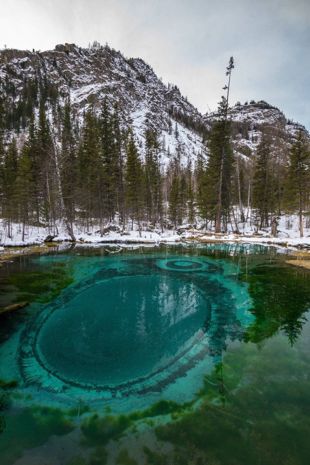 , Андрей Хаймин