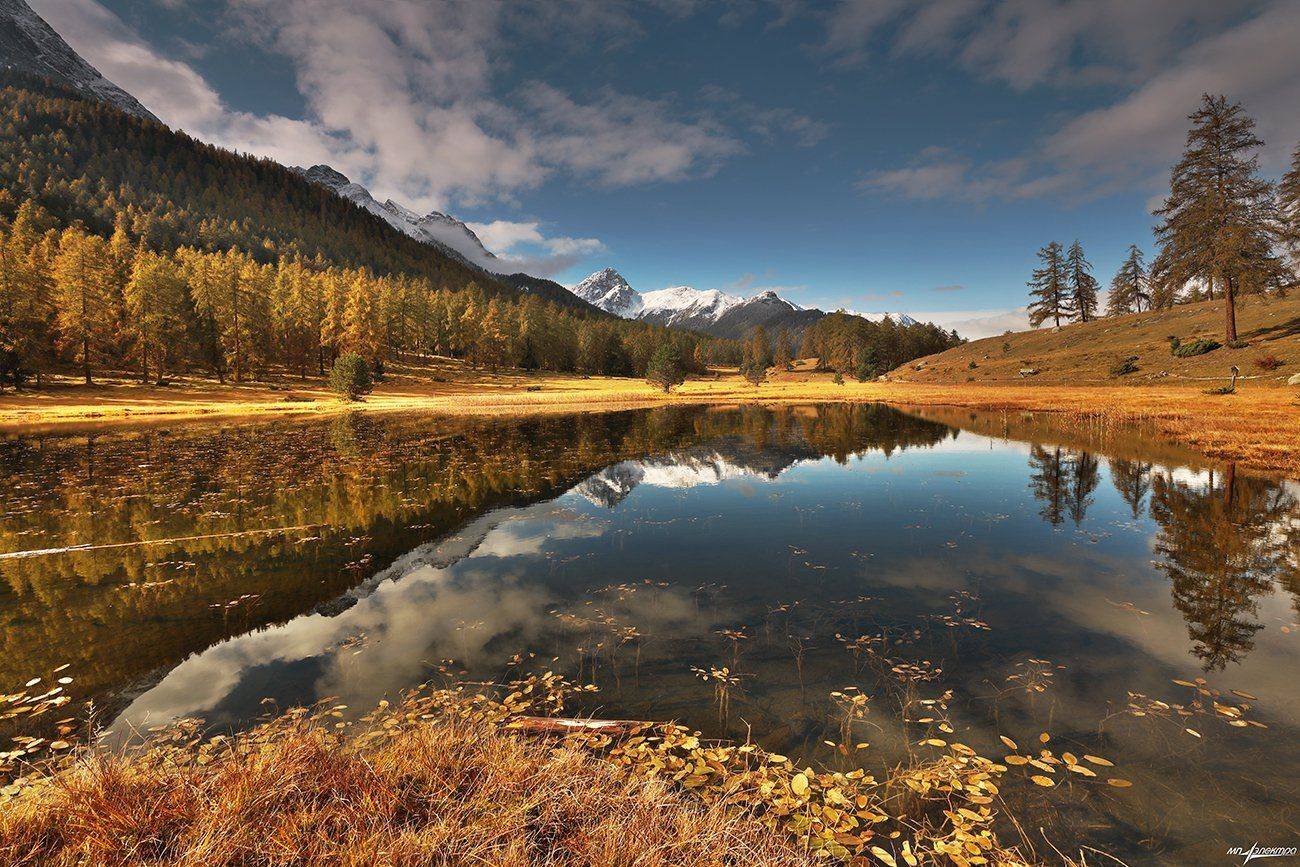 swiss, Матвеев Николай