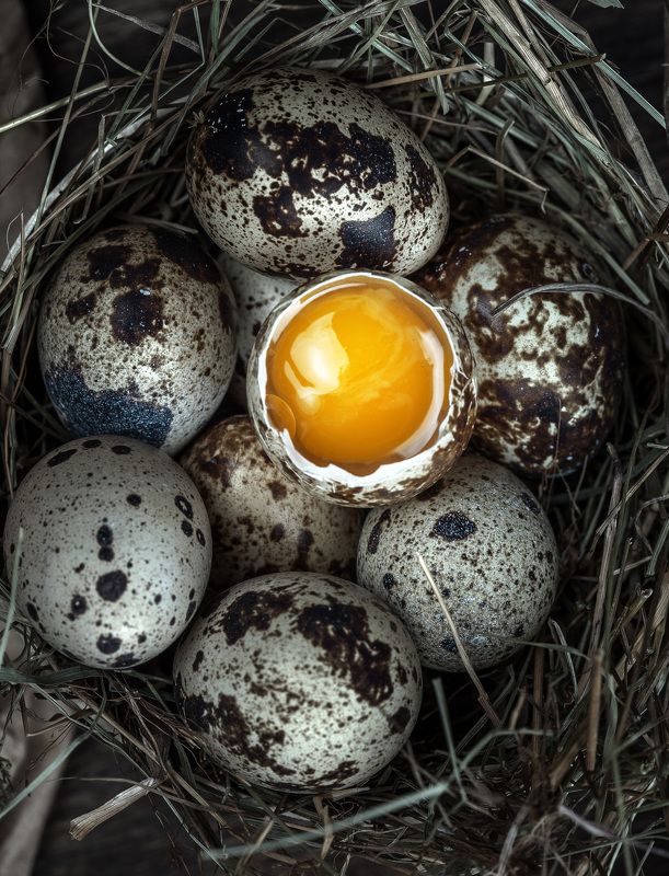 . фото превью