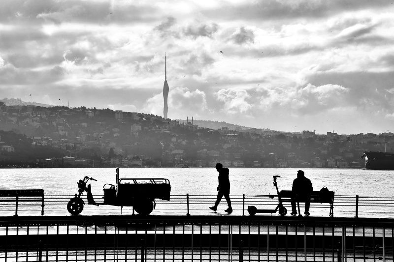 Morning Walk фото превью