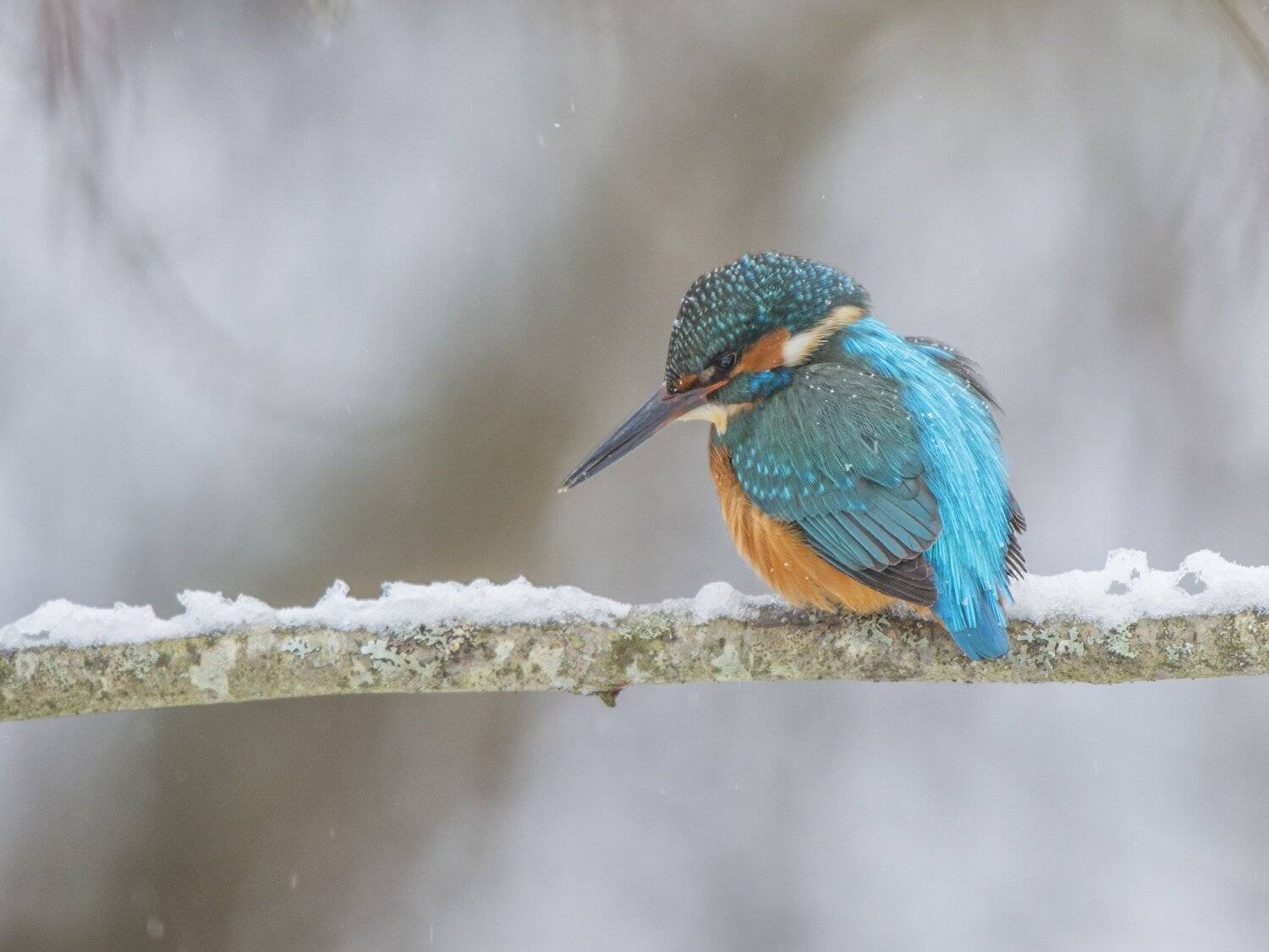 , Юрий Кулаков