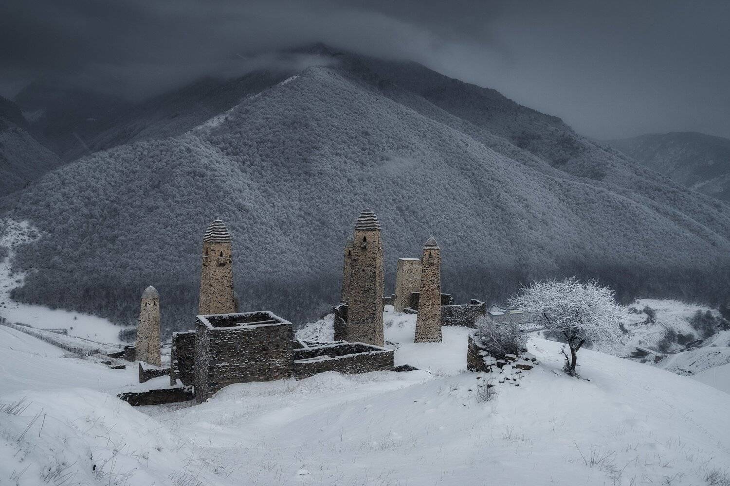 , Михаил Туркеев