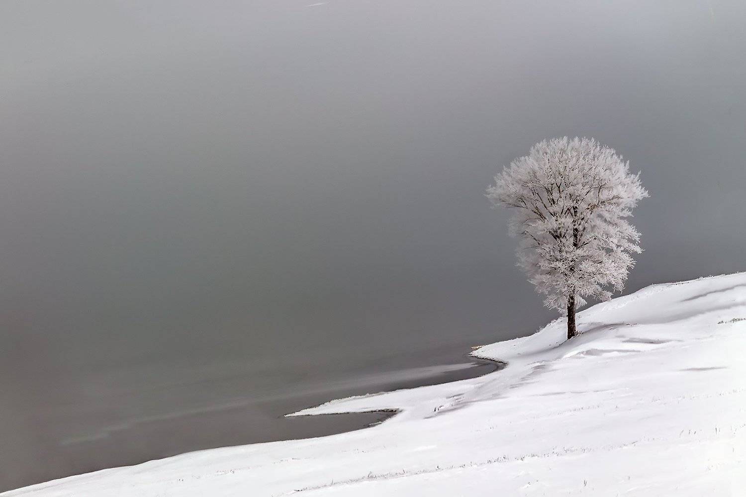 , Леонид Максименко