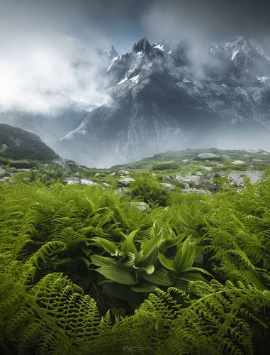 Greenice