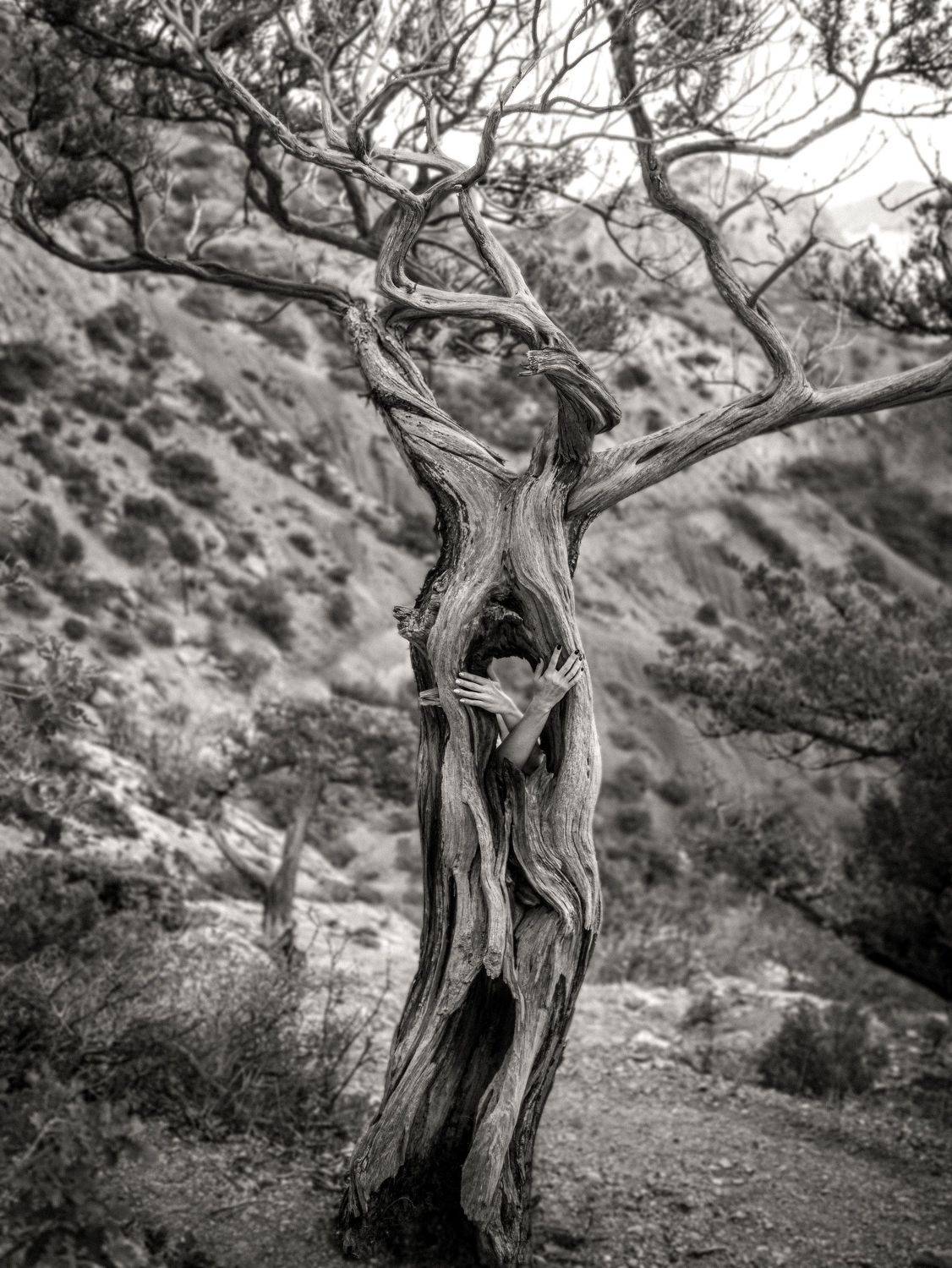 , Игорь Прошаков