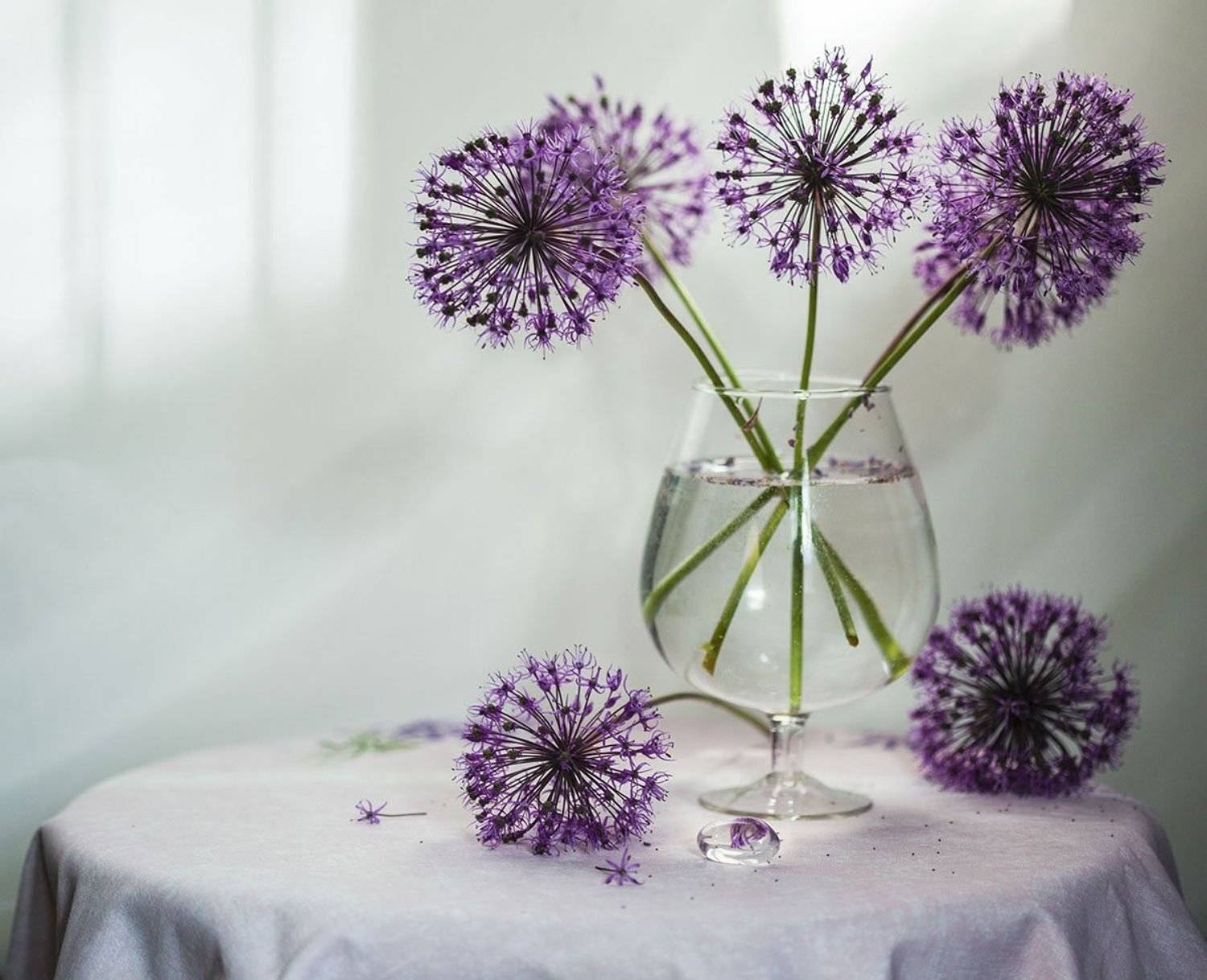 цветы,шары,лук, натюрморт, настроение, stillife, sphere,flower, beautiful, Юлия Стукалова