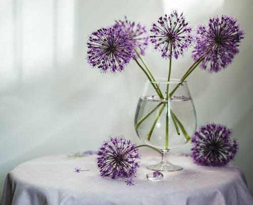 Сиреневое настроение