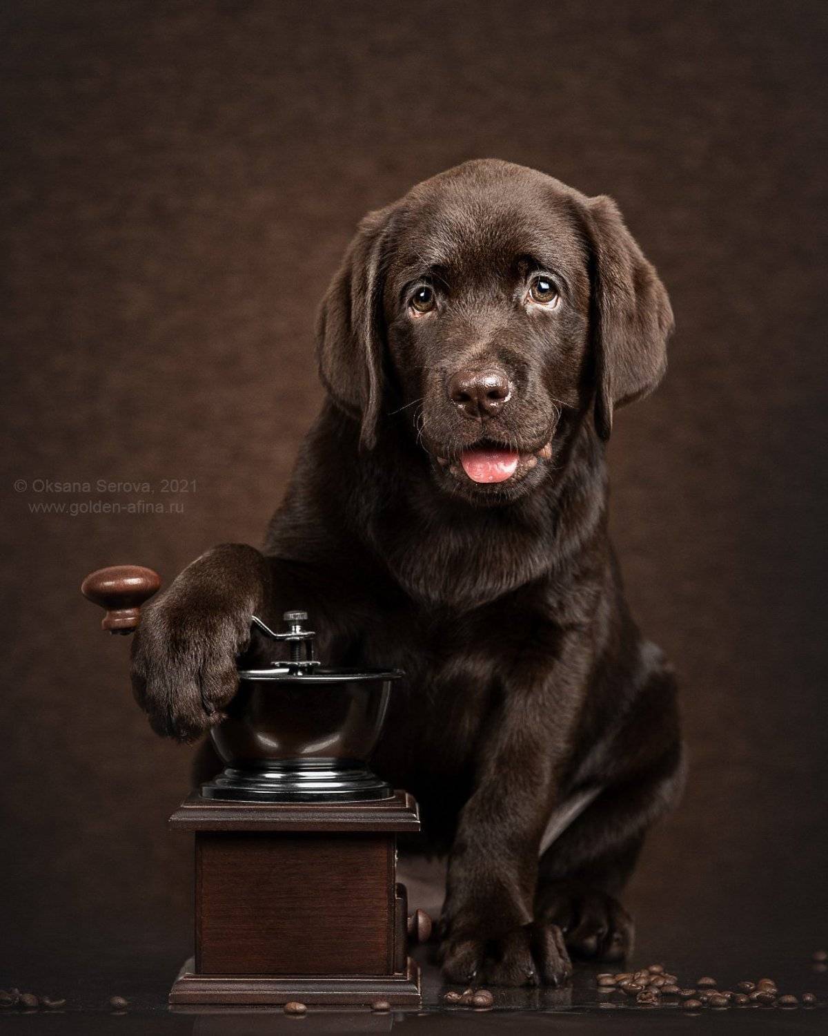 , Оксана Серова