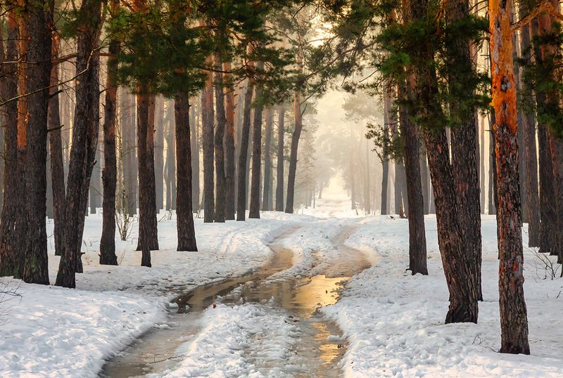 весна пришла фото превью