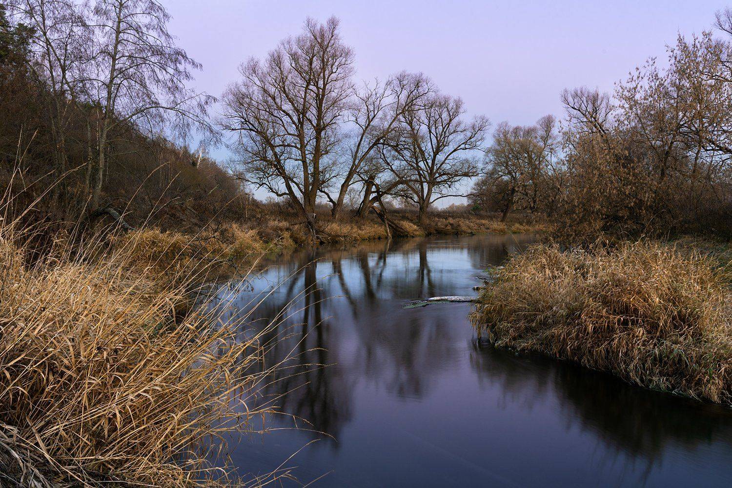 , Дмитрий Асеев