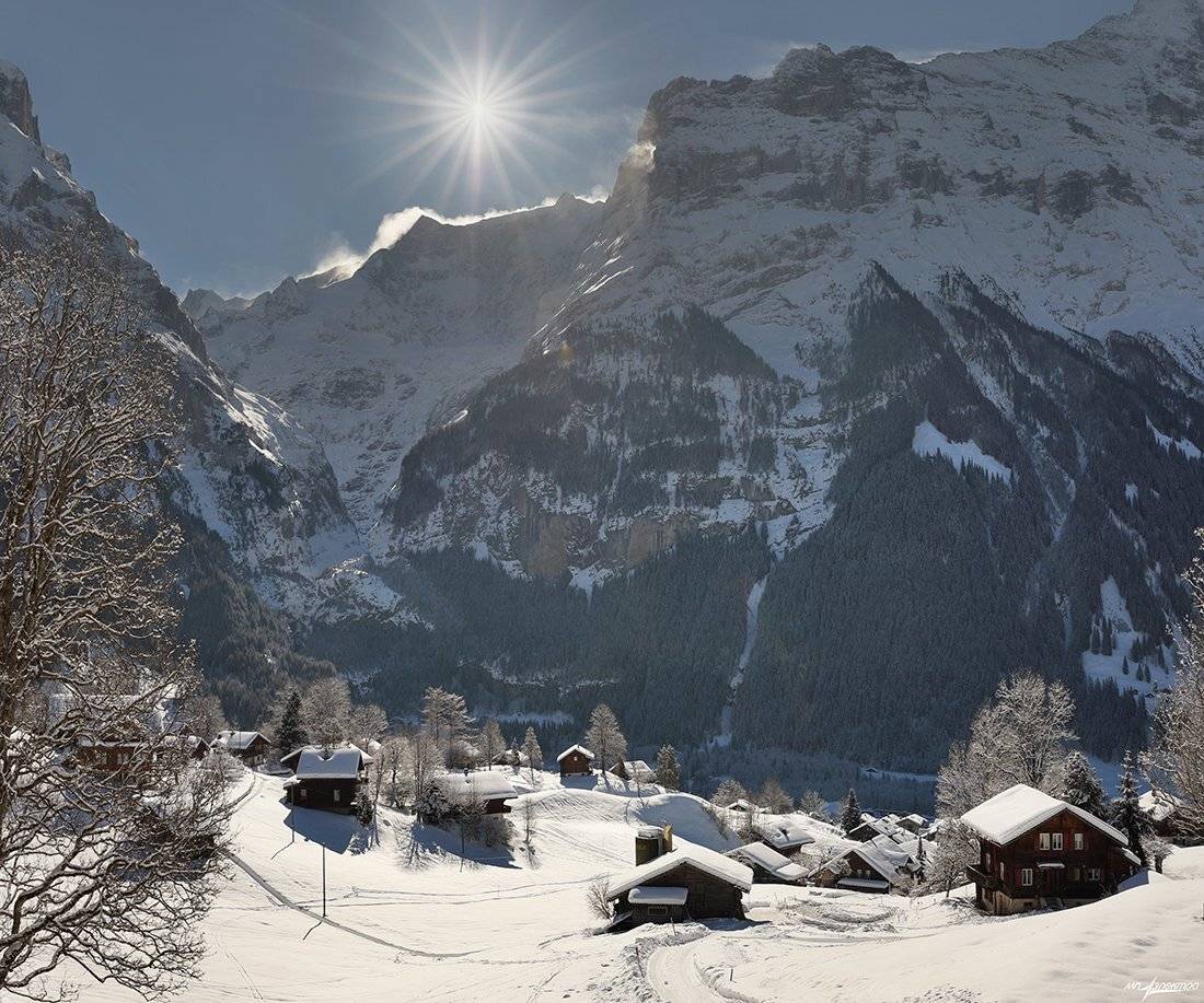 swiss, Матвеев Николай