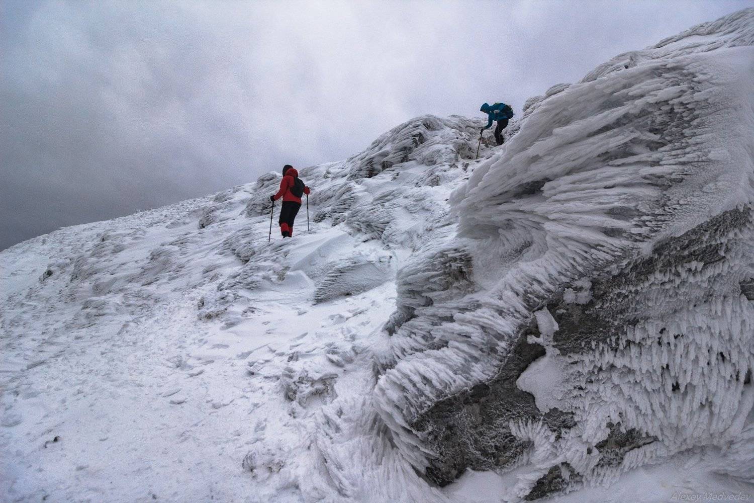Карпаты, Украина, петрос, зима, Алексей Медведев