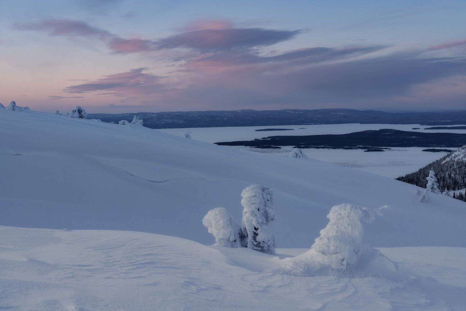 , Юлия Шумляева