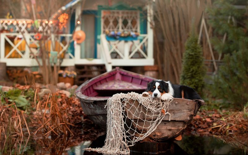 релакс фото превью