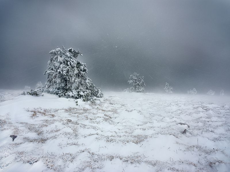 Ураган фото превью