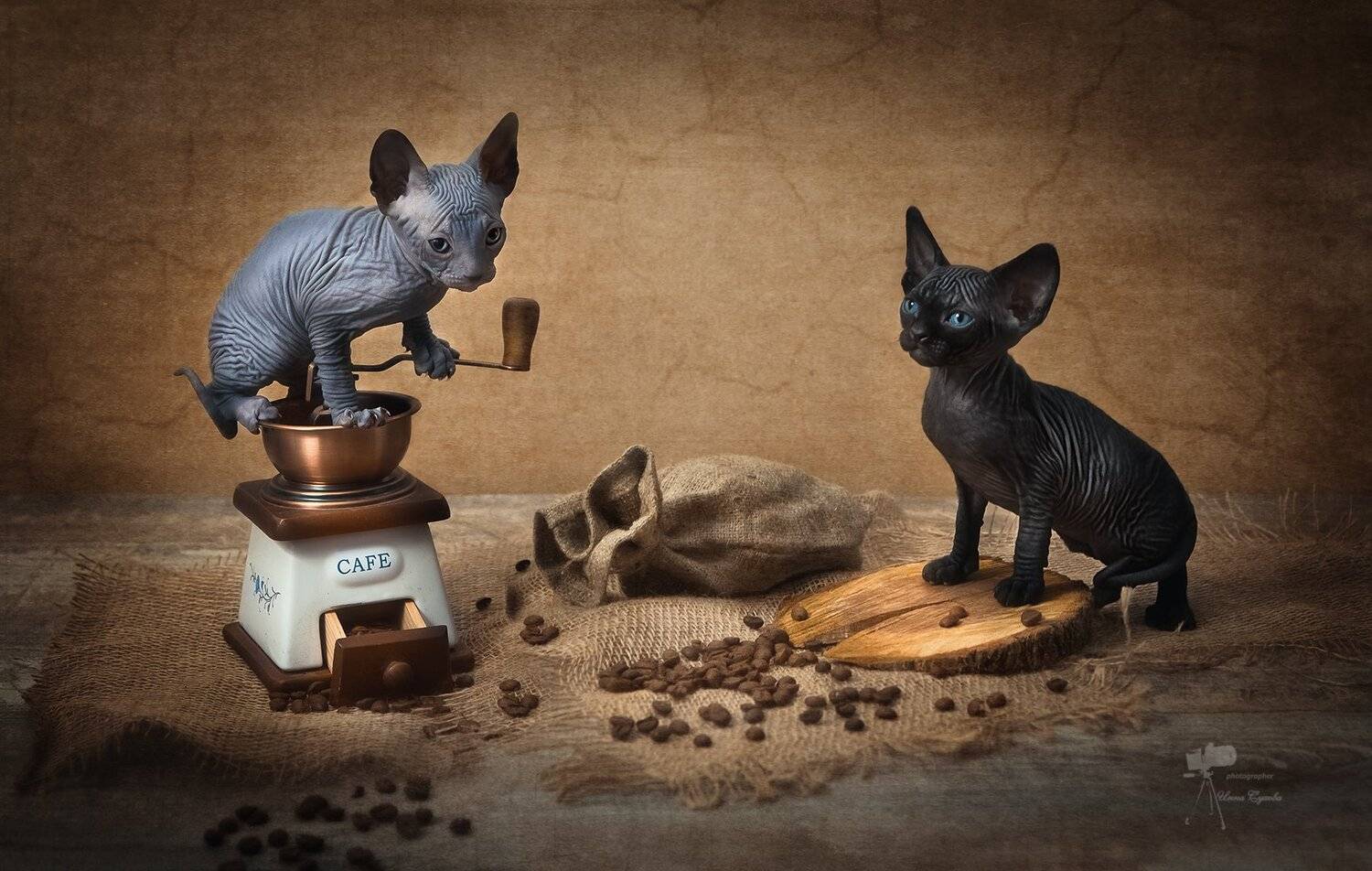 , Инна Сухова