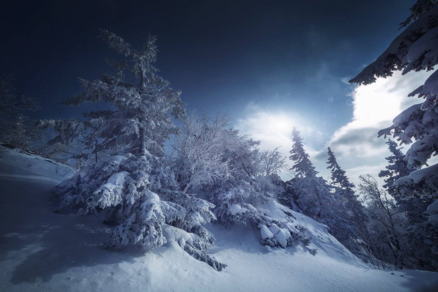 озеро, горы, лес, природа, закат, рассвет, красота, приключения, путешествие, Шевченко Николай