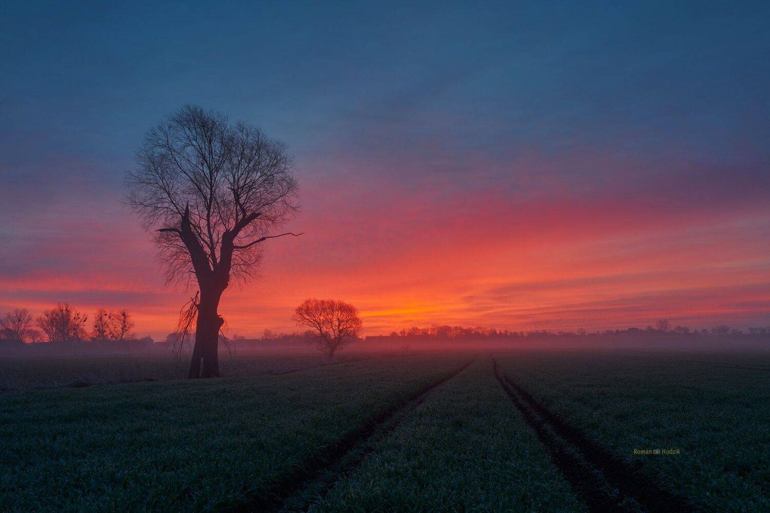 Kociewie fields, landscape, Poland, field, sunrise, fog, tree,, Roman Hudzik