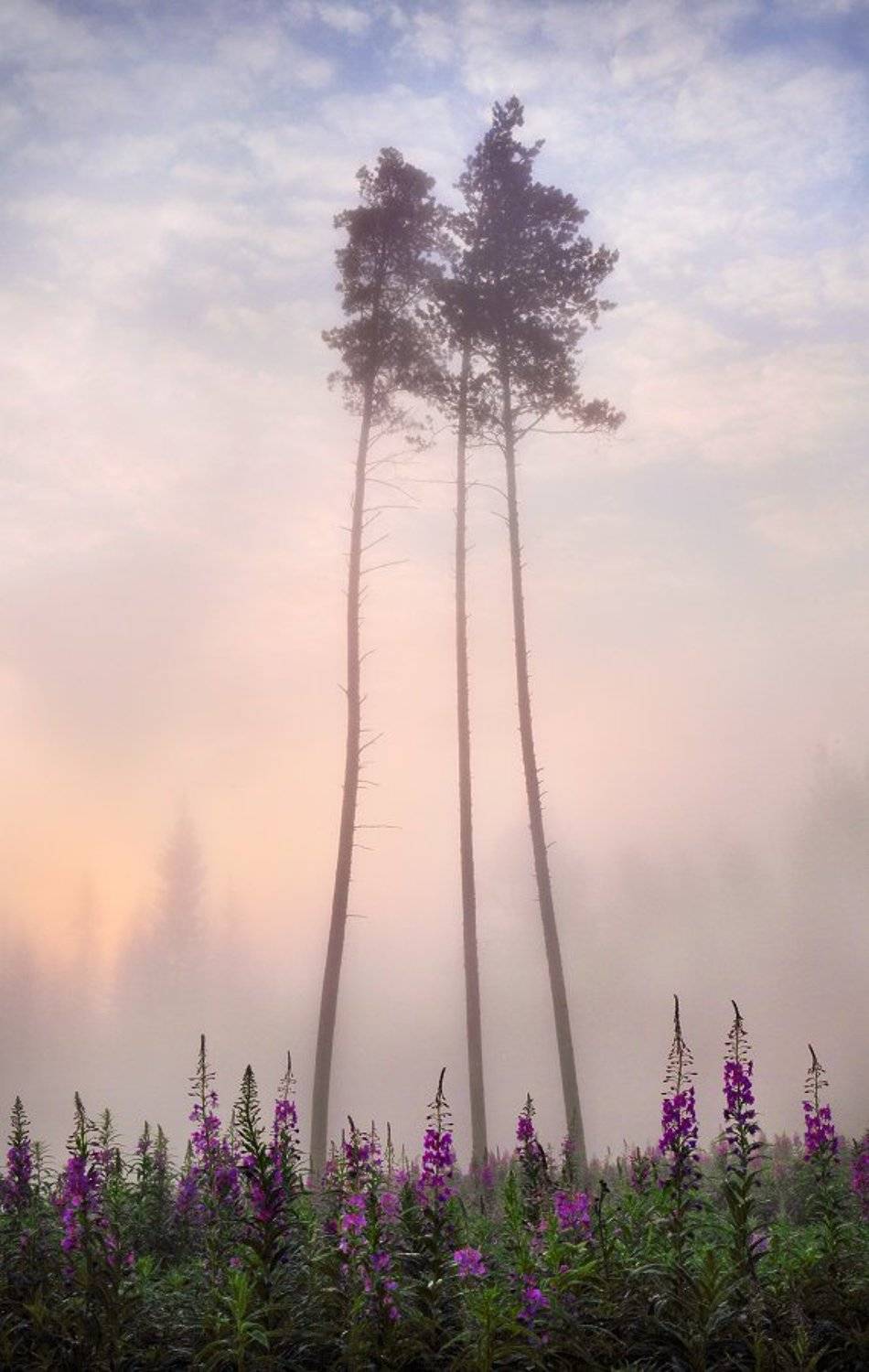 пейзаж, урал, лето,, Сергей Макурин