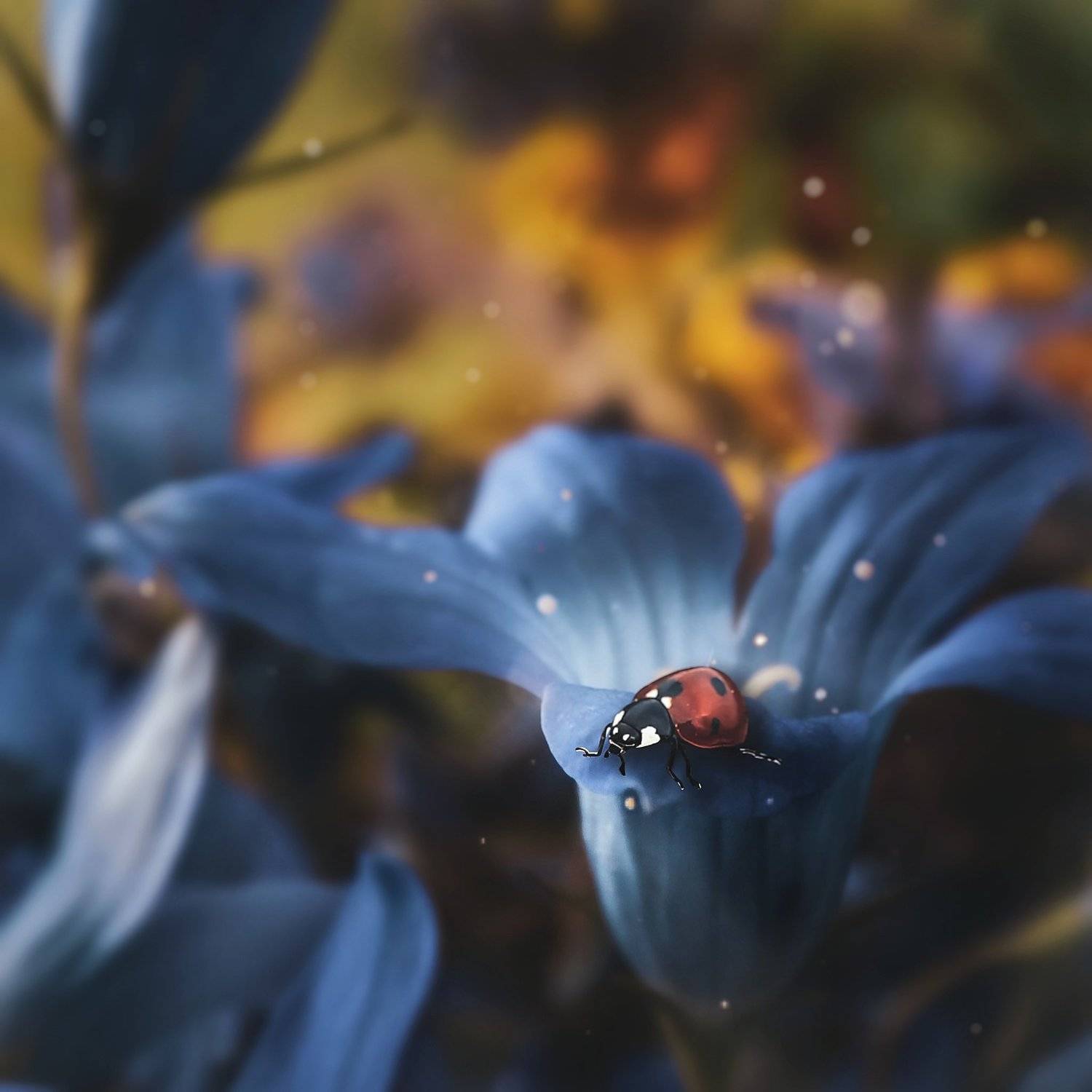 макро, арт,природа ,насекомые, Olga Smirnova