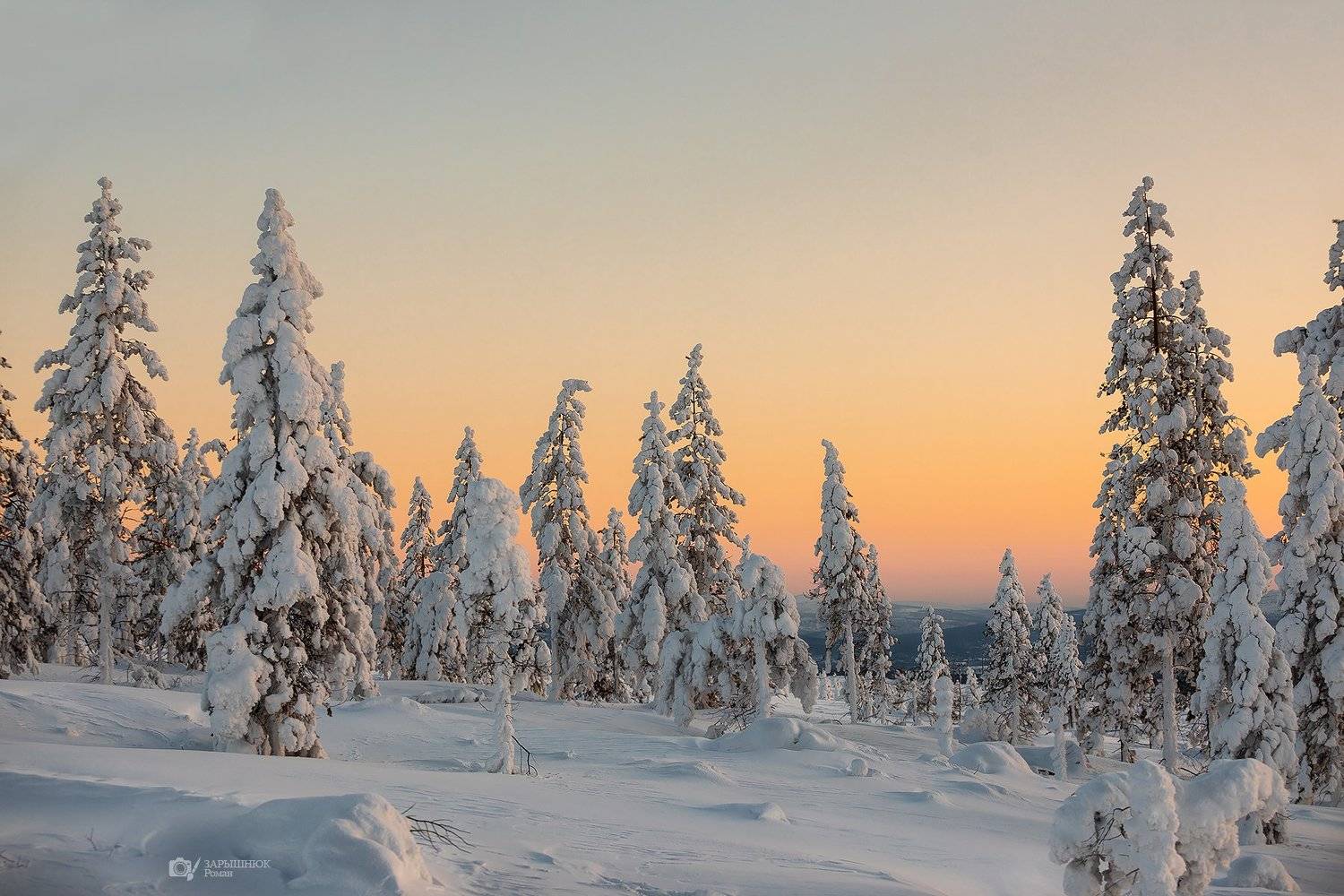 мороз, зима, снег, сибирь, якутия, дальний восток, деревья, лес, frost, winter, snow, siberia, yakutia, far east, trees, forest, Зарышнюк Роман