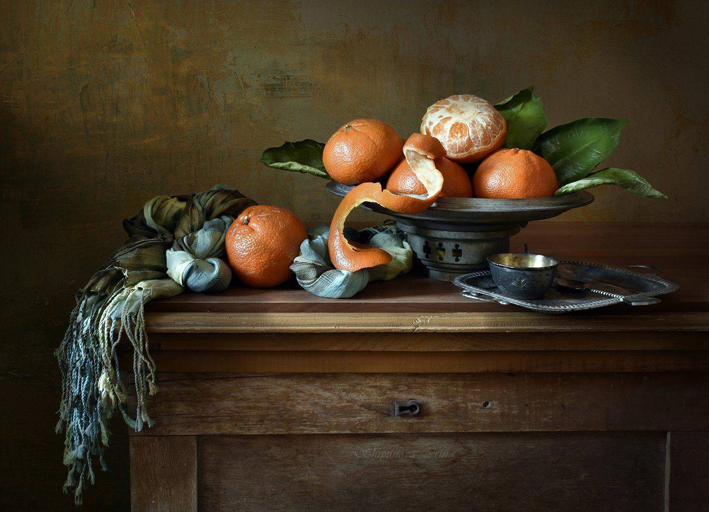 , Шипунова Ирина