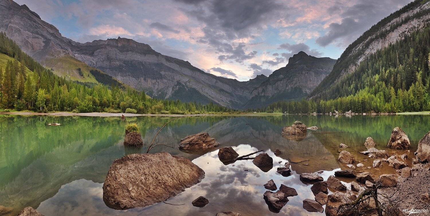 swiss, Матвеев Николай