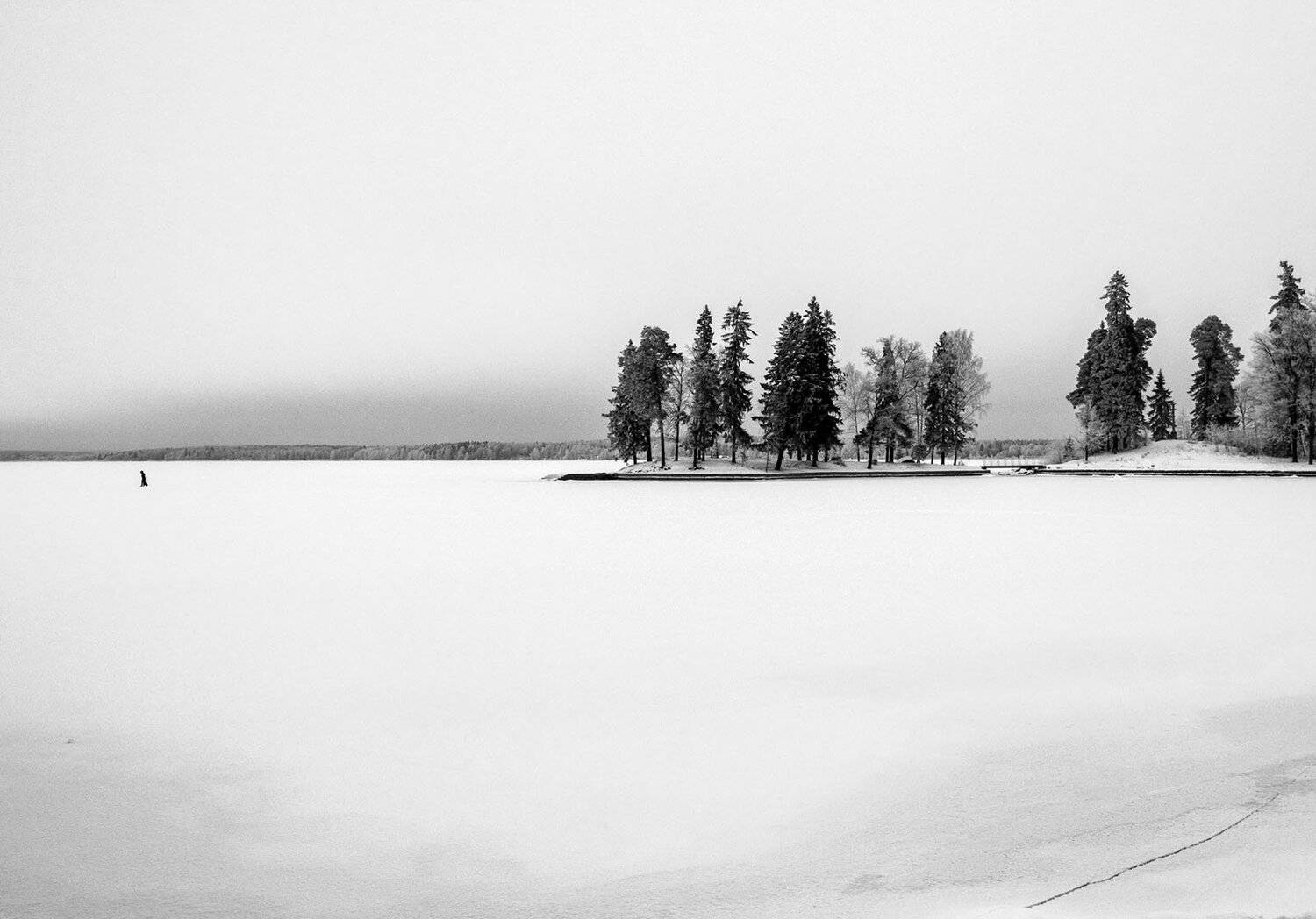 , Алексей Герасимов