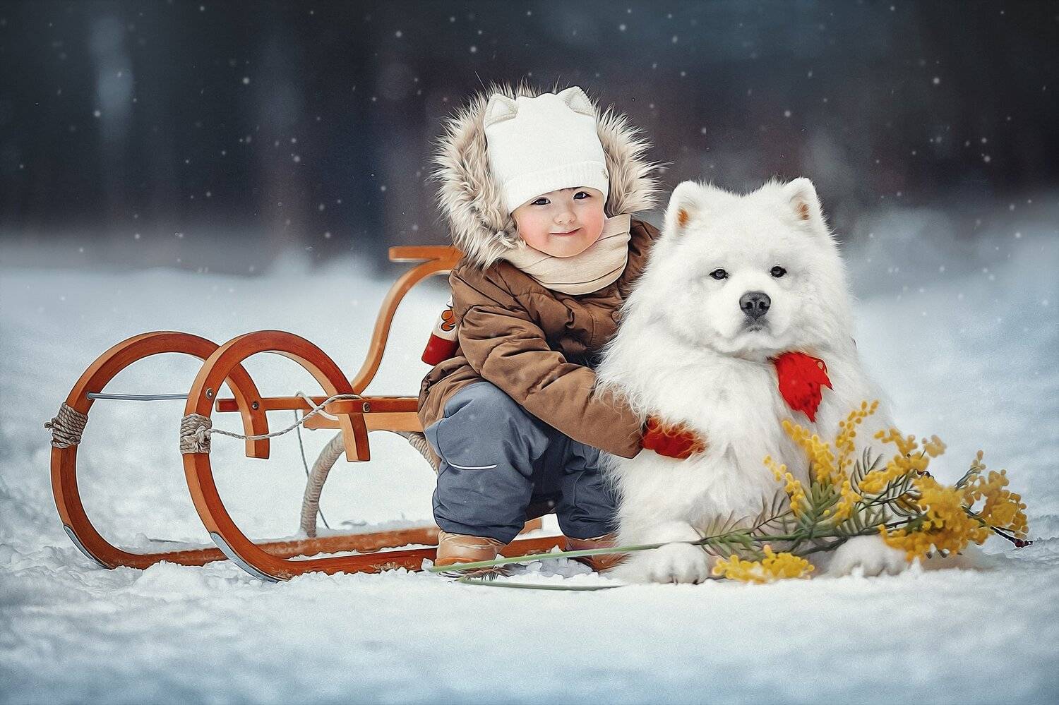 , Ксения Лысенкова