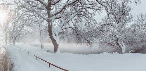 Хроники Екатеринодарской зимы.