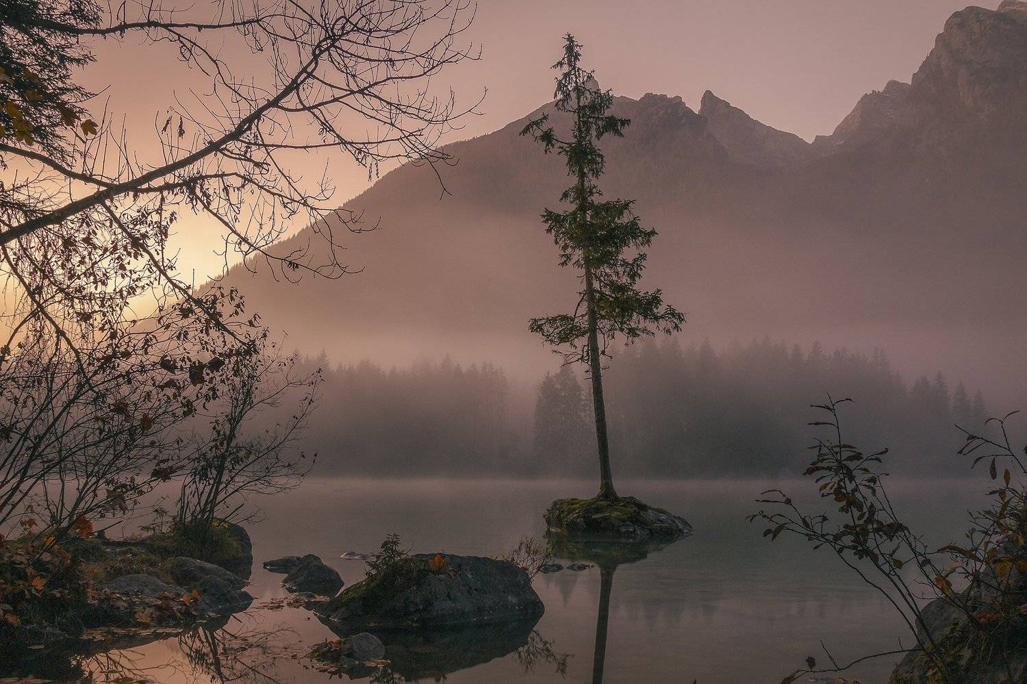 , Олег Мильбергер