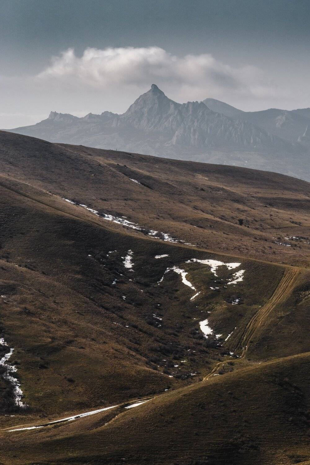 , Андрей Кривцов