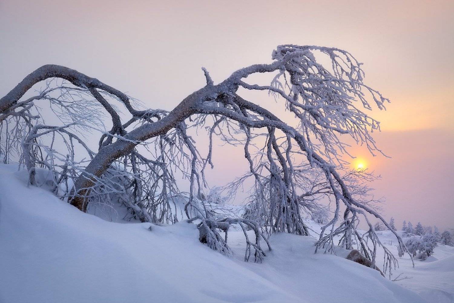 урал, зима, рассвет, мороз, утро, свет, Сергей Макурин