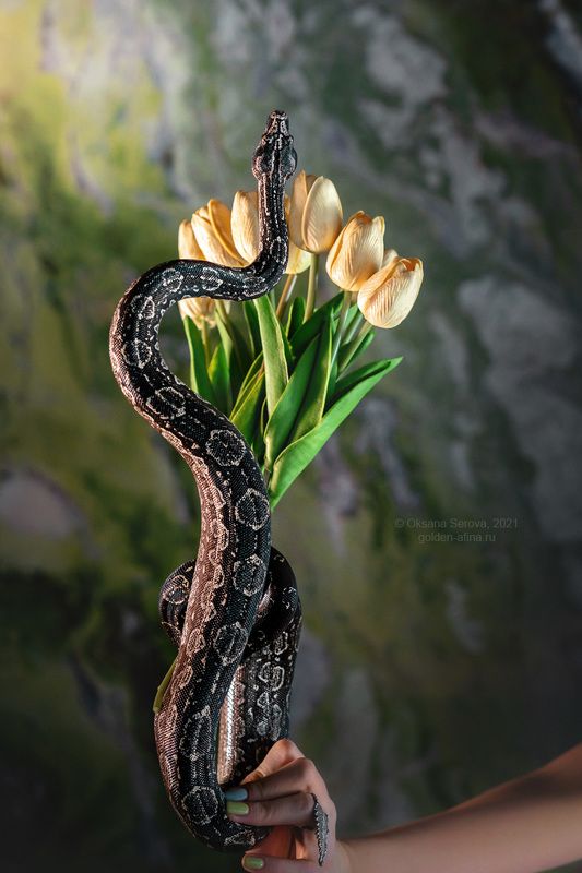 фото превью