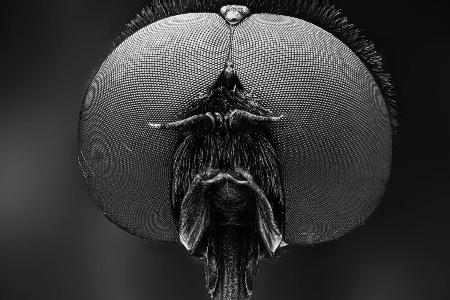 , Khalid Al-Wadhaihi