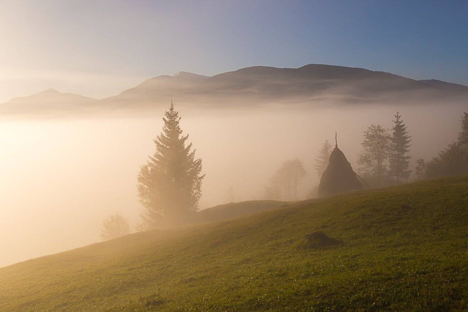 , Александр Подрез