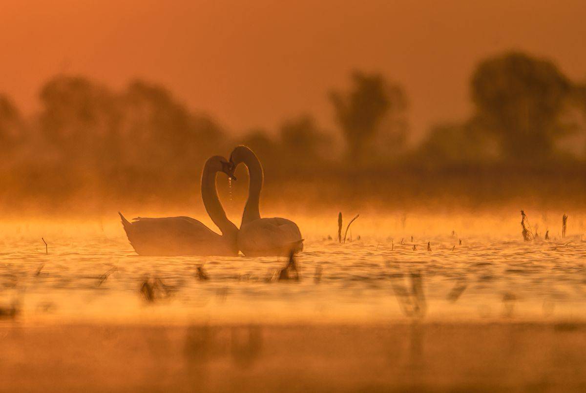 , Sławek Przybylski